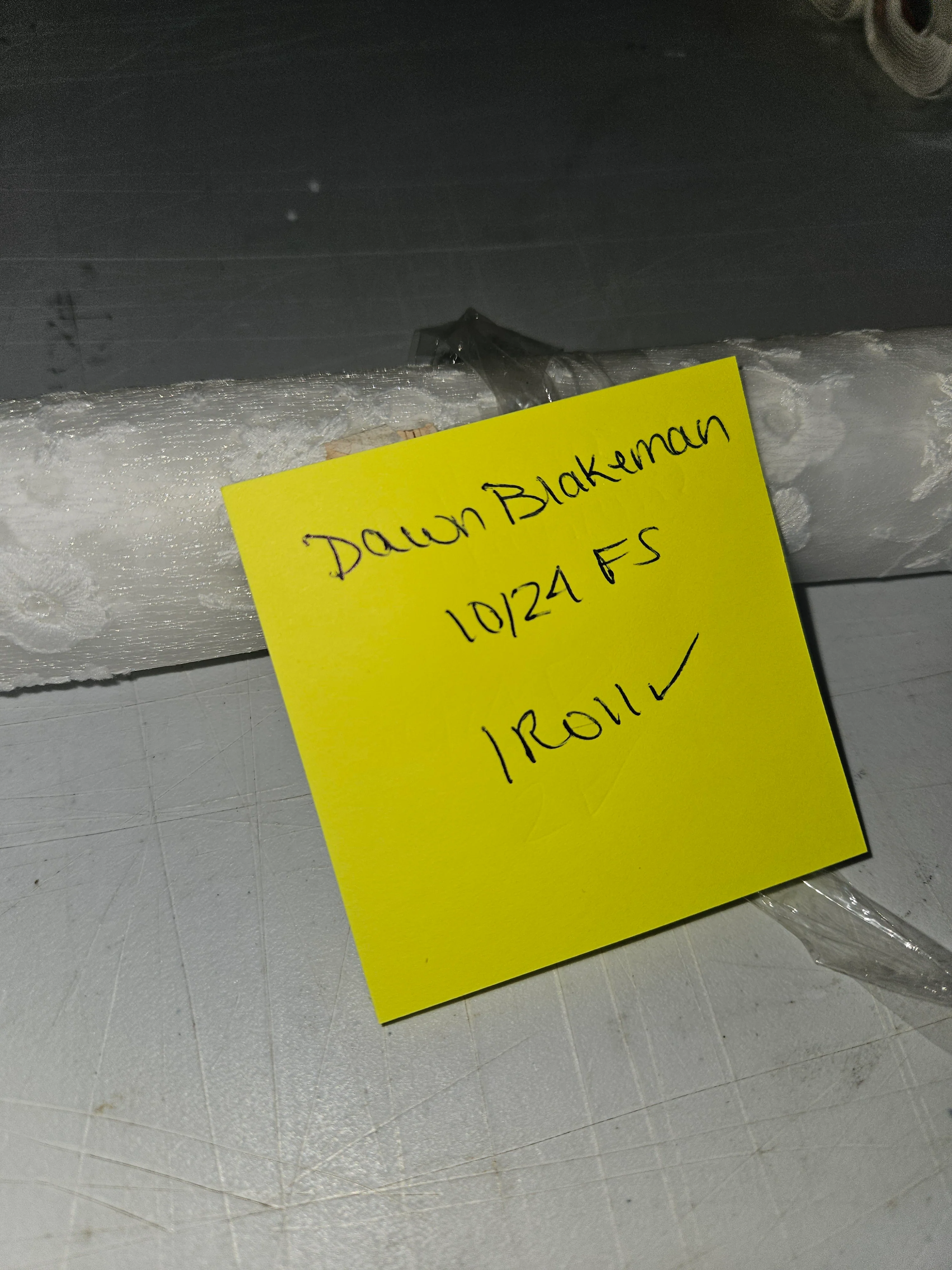 1024FS dawn blakeman