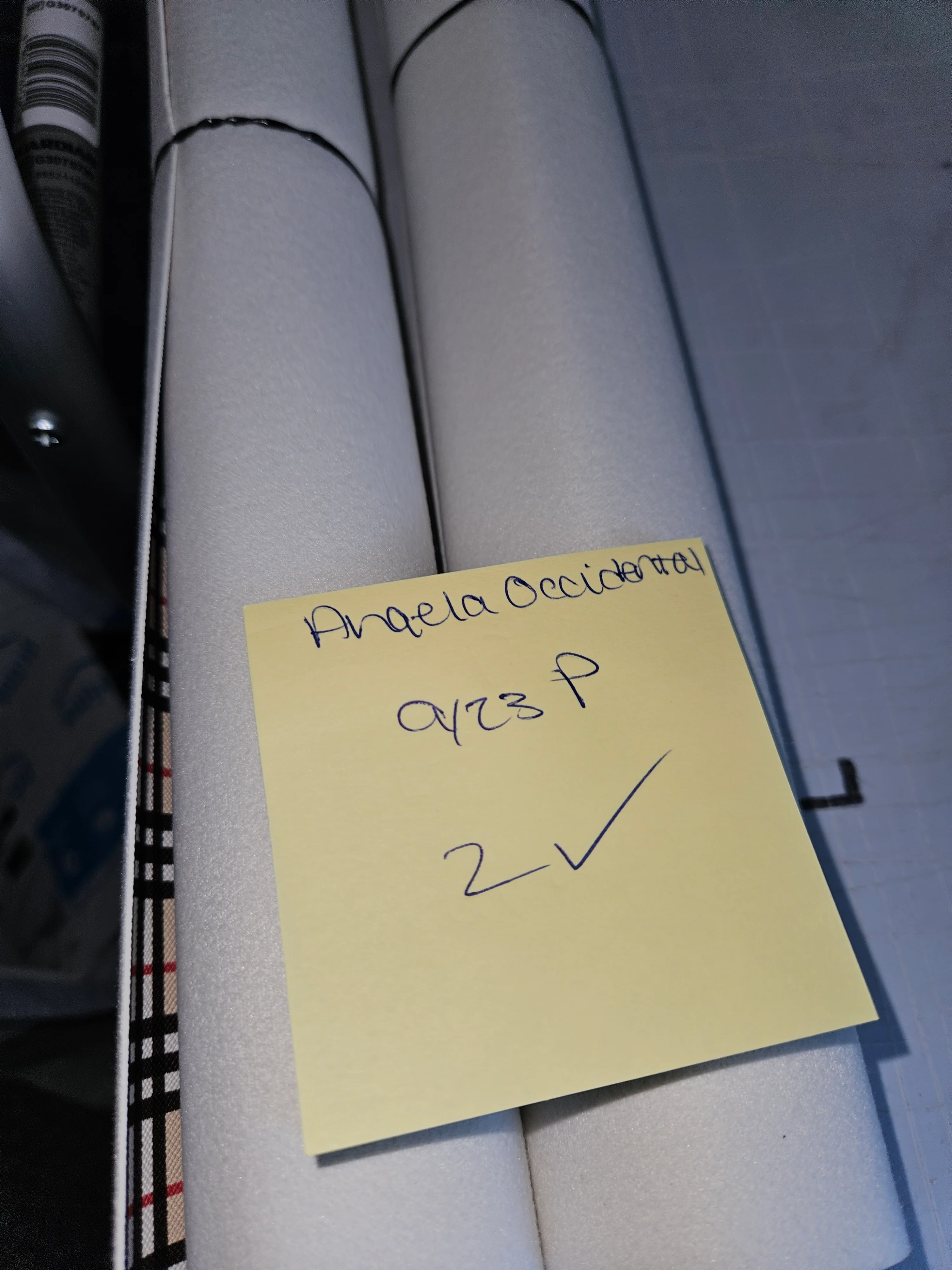 BR ANGELA OCCIDENTAL 0923P