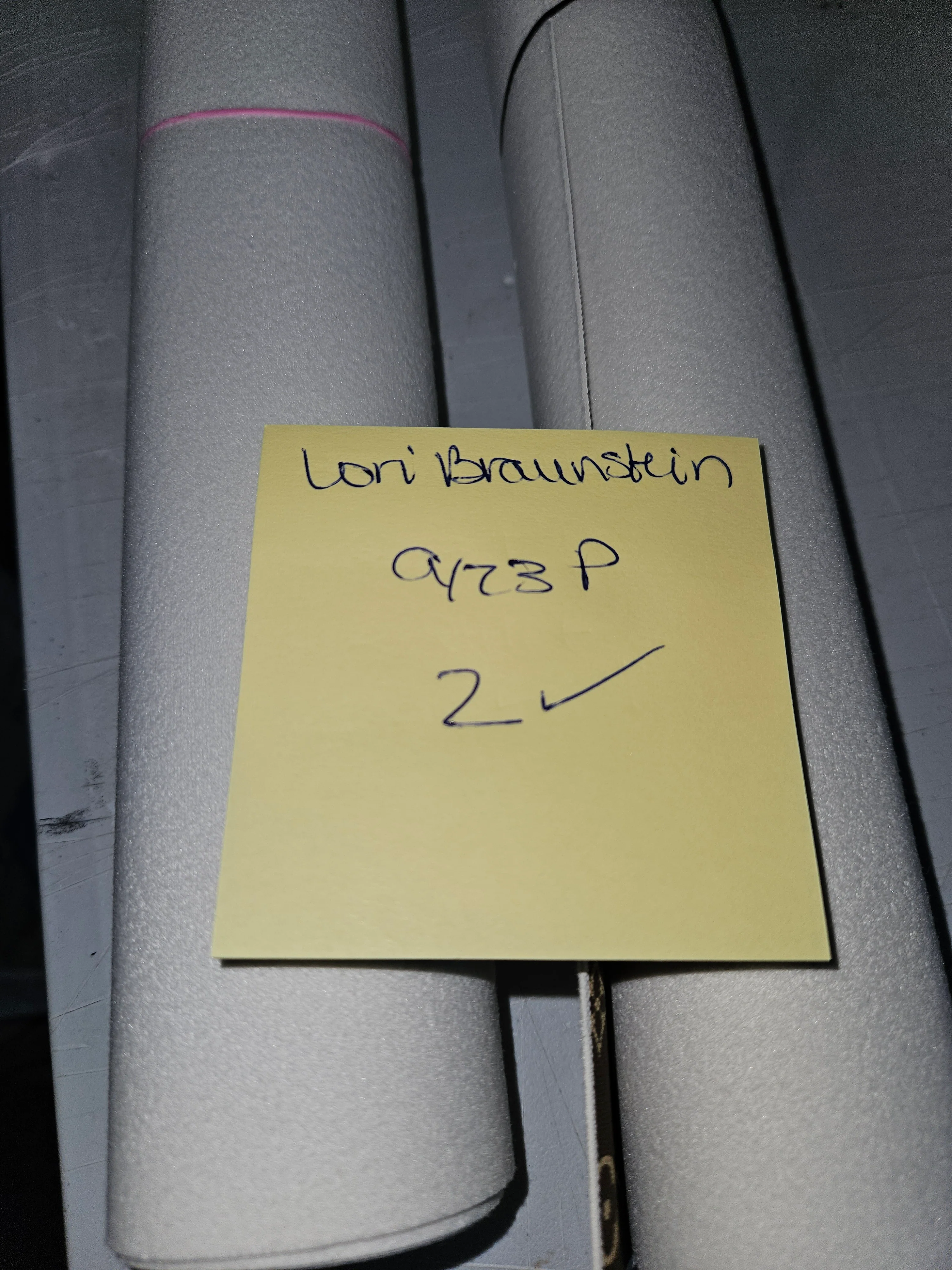 BR LORI BRAUNSTEIN
